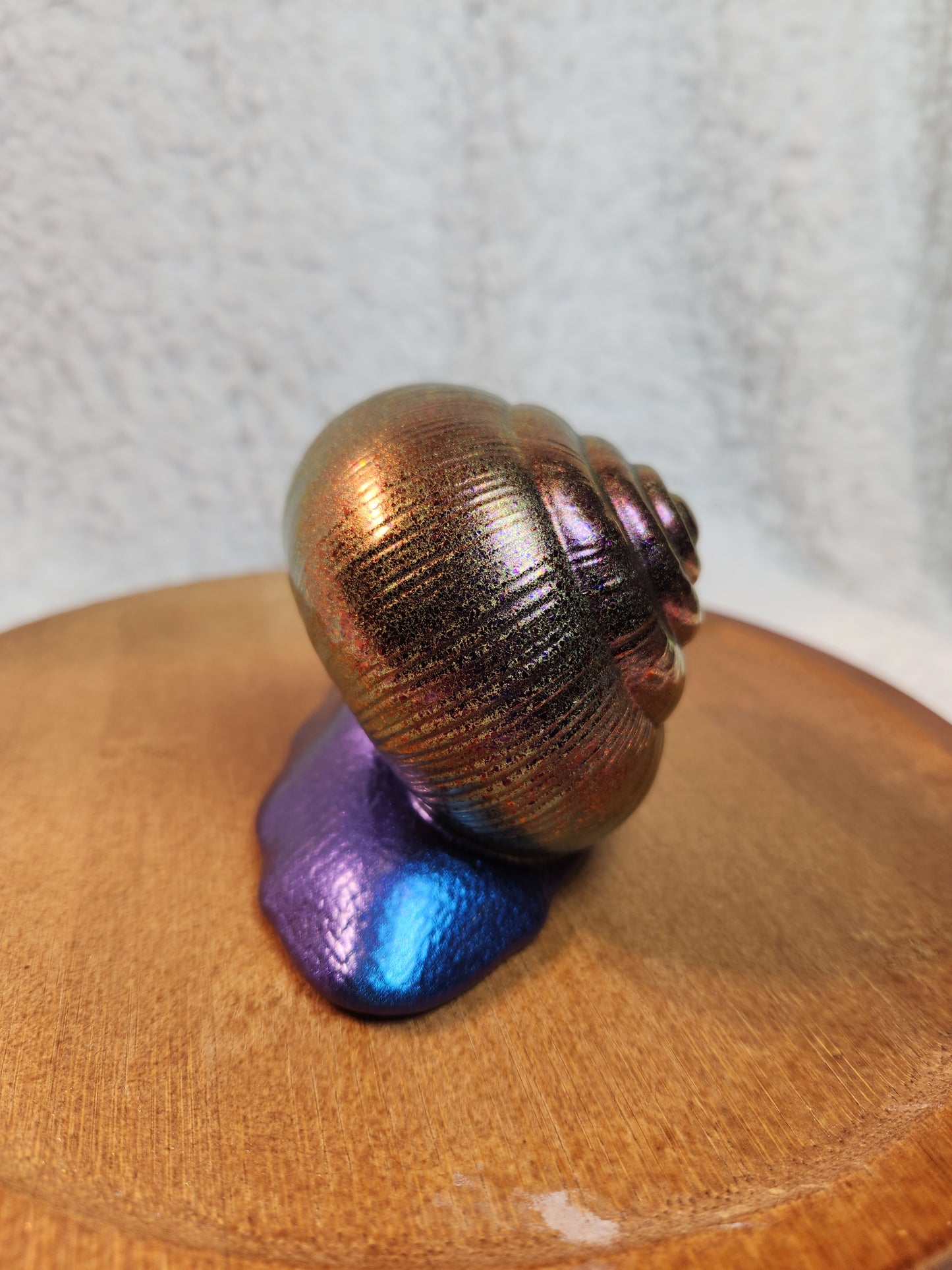 Snail 7