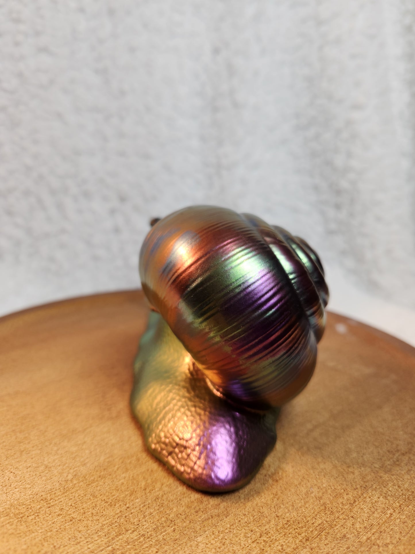 Snail 6