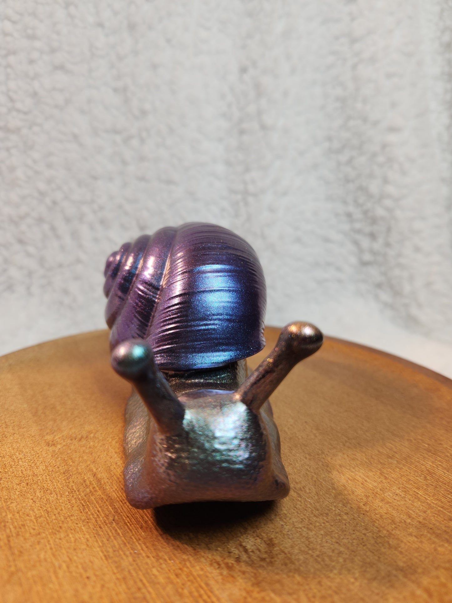 Snail 1