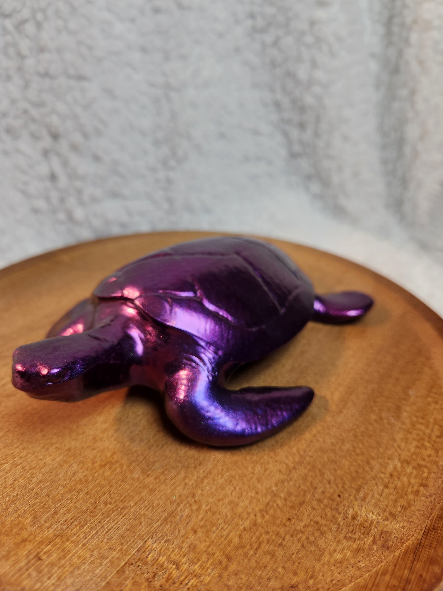 Med Chrome Color turtle
