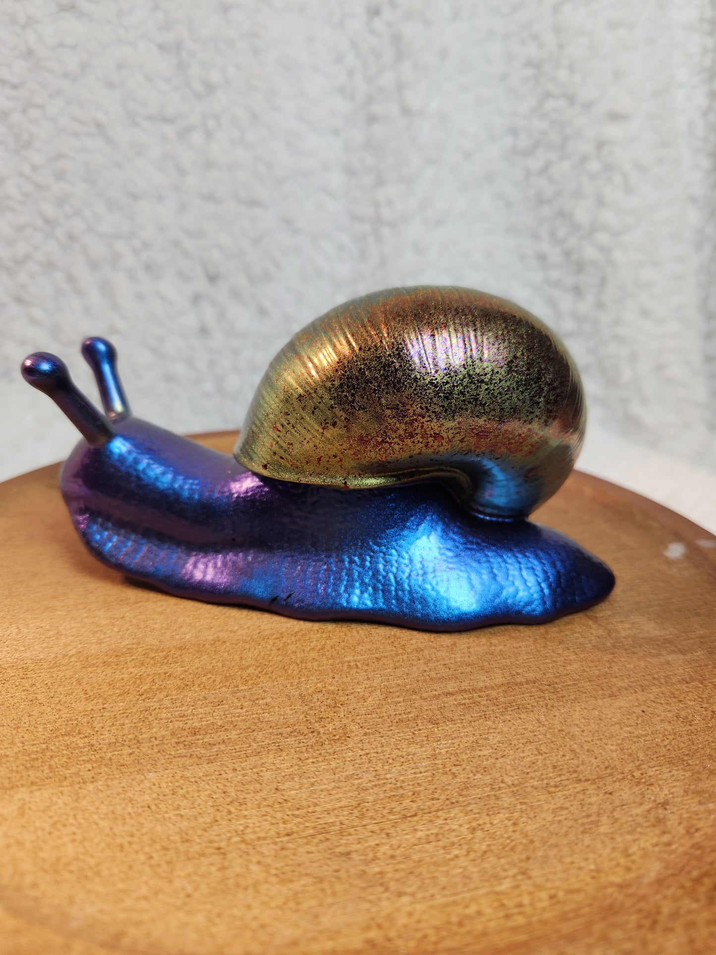 Snail 7