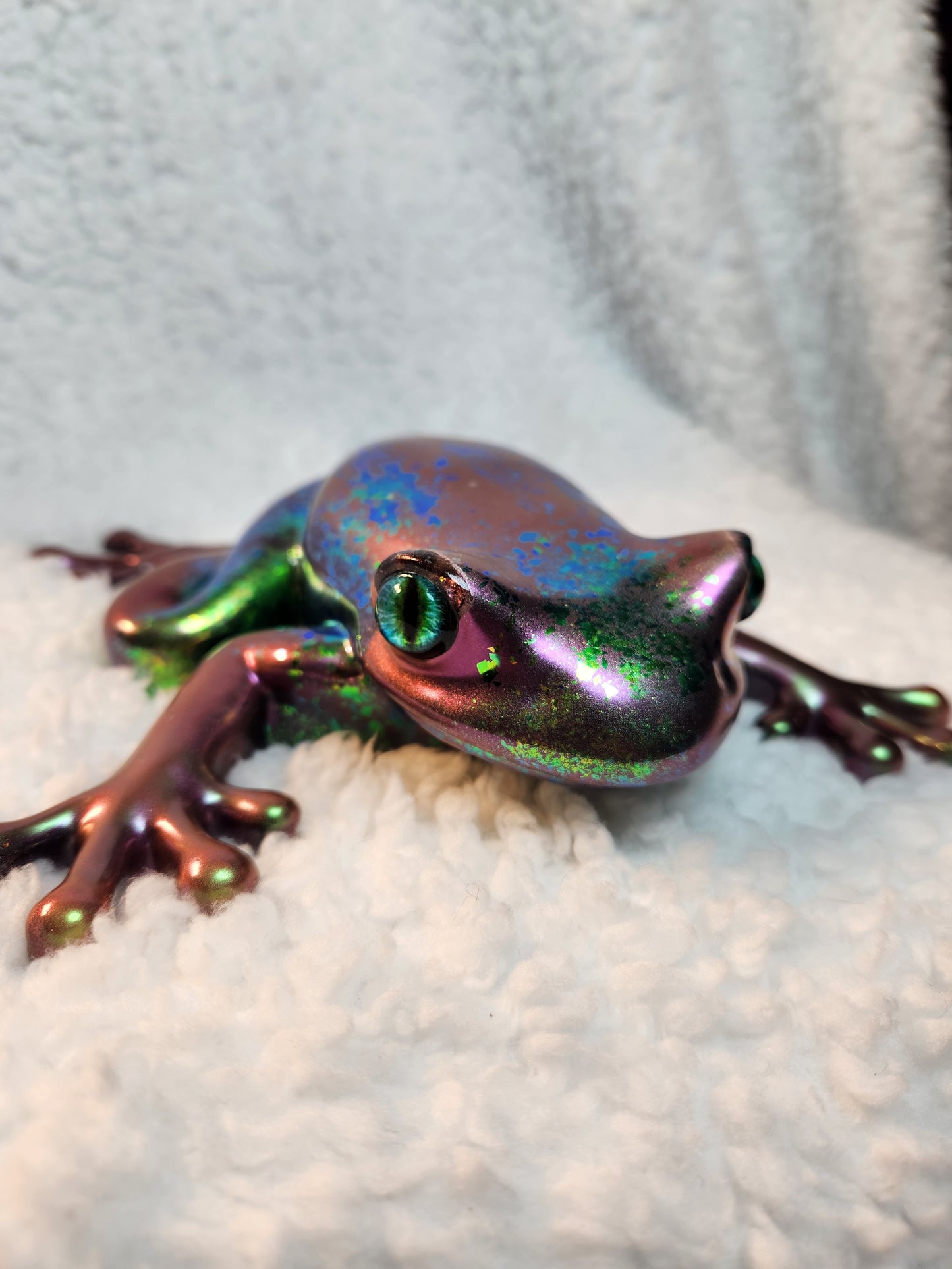 Large Chameleon Frog