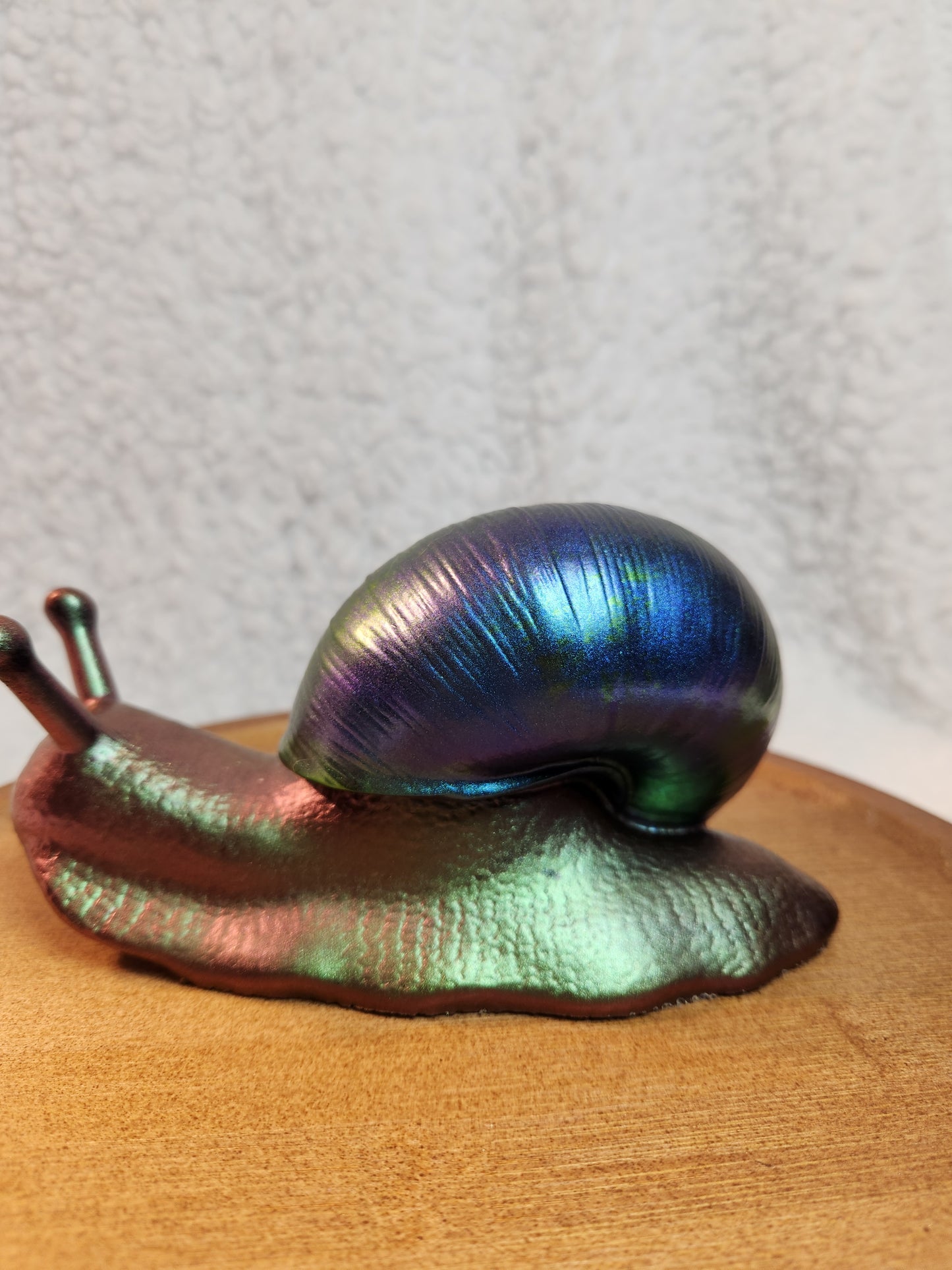Snail 3