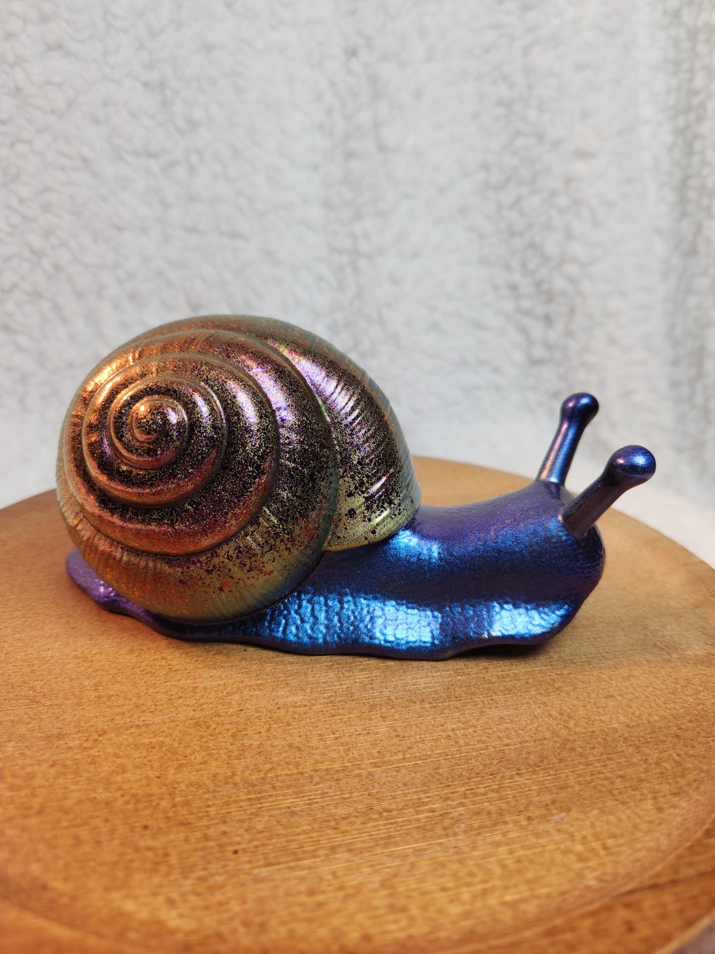 Snail 7