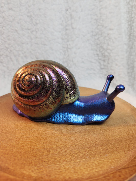 Snail 7