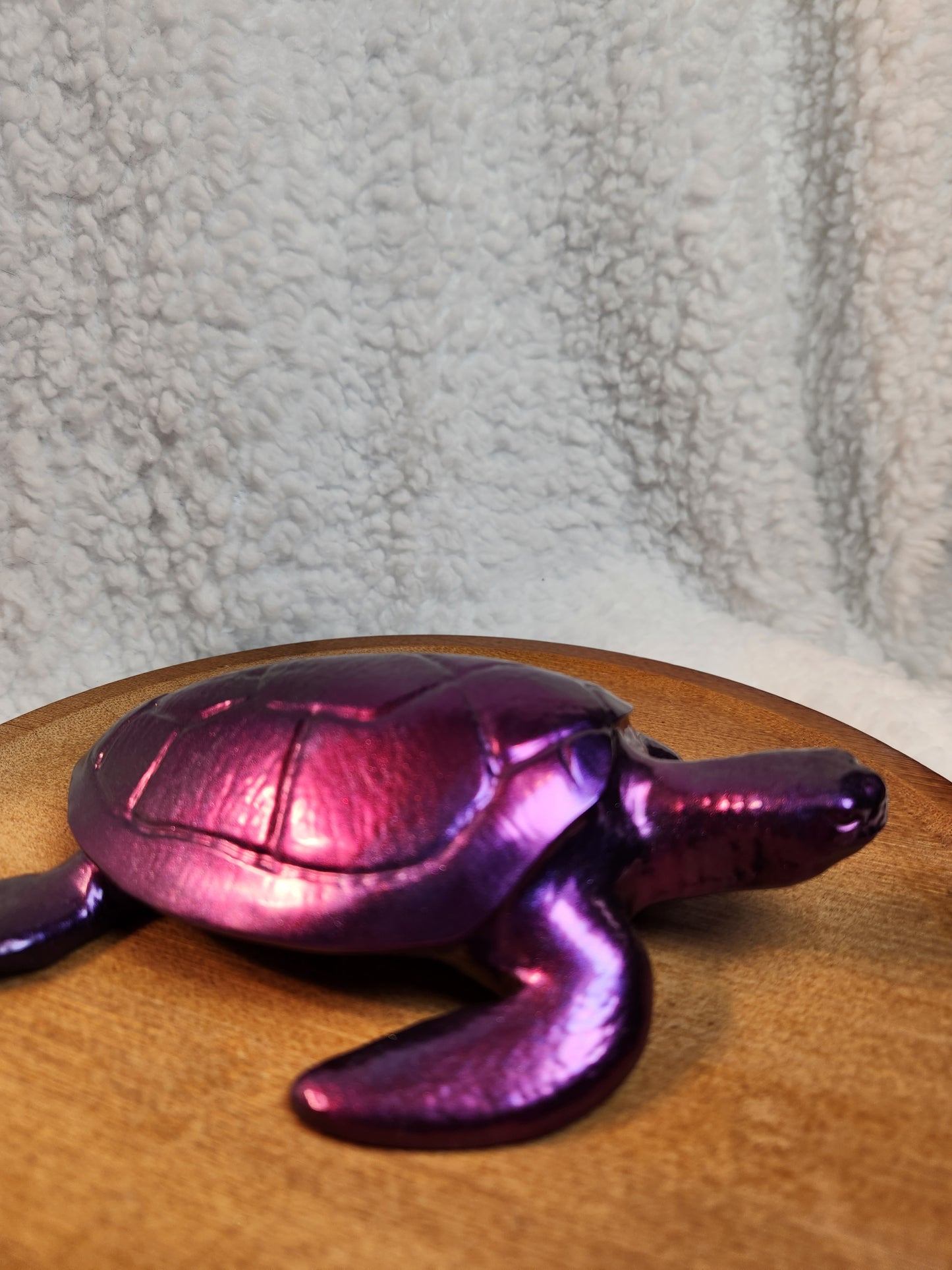 Med Chrome Color turtle