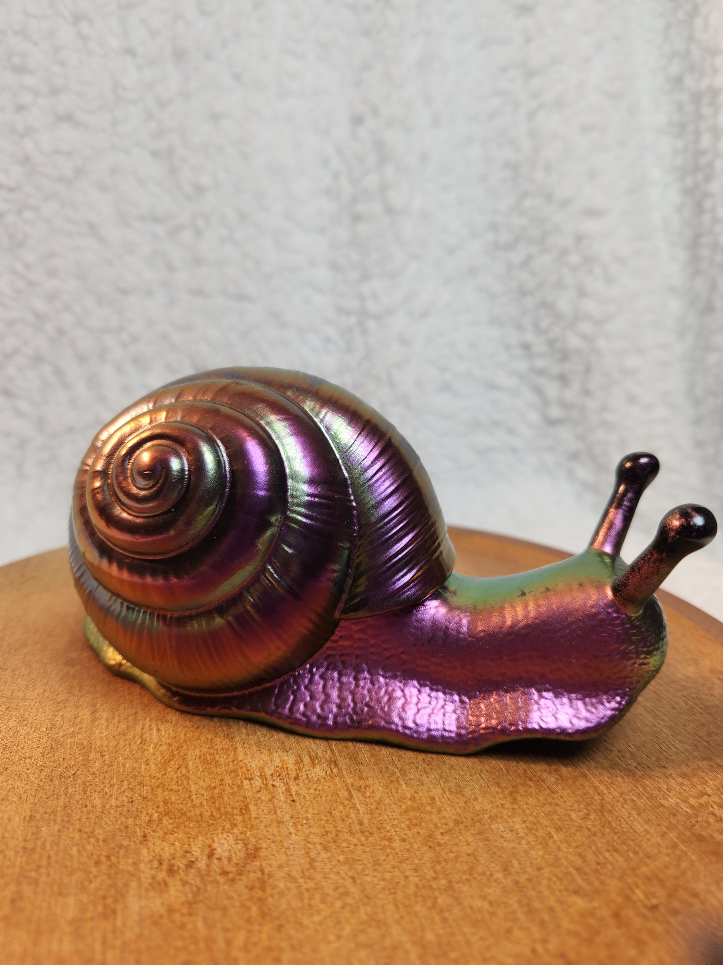 Snail 6