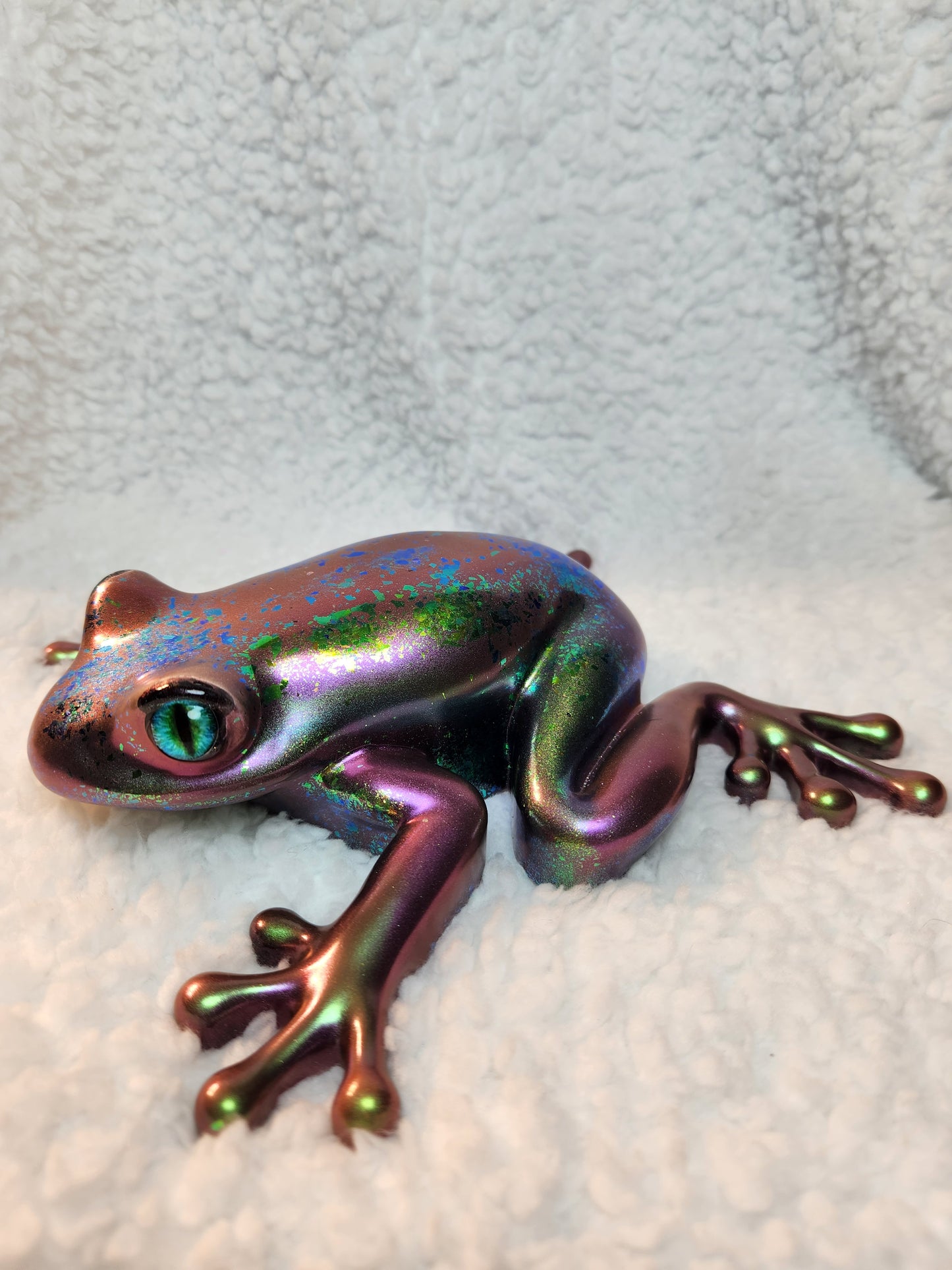 Large Chameleon Frog