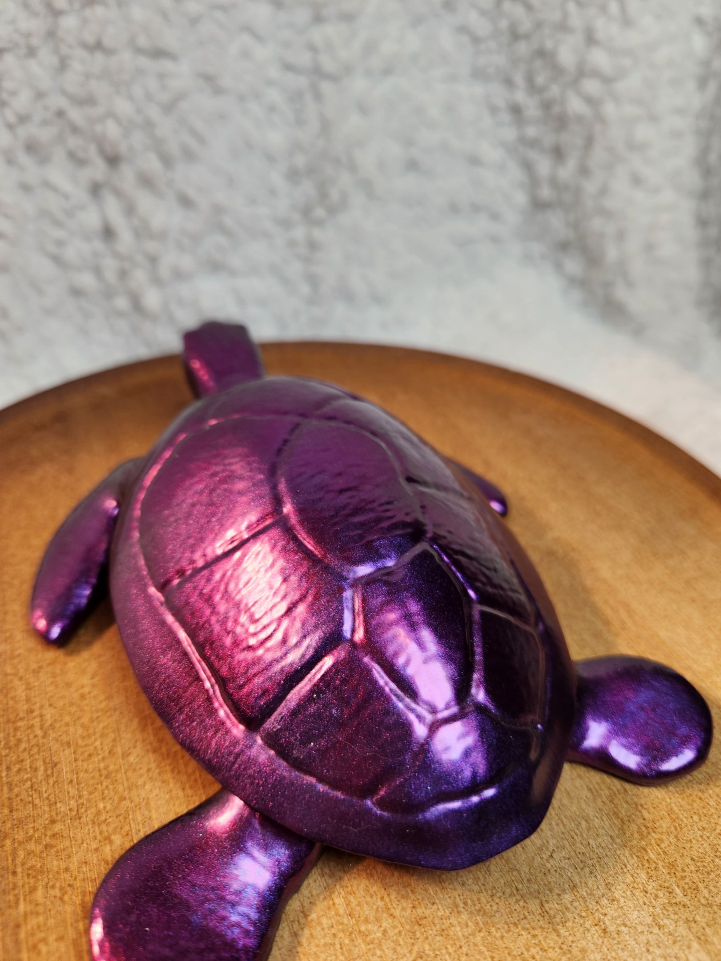 Med Chrome Color turtle
