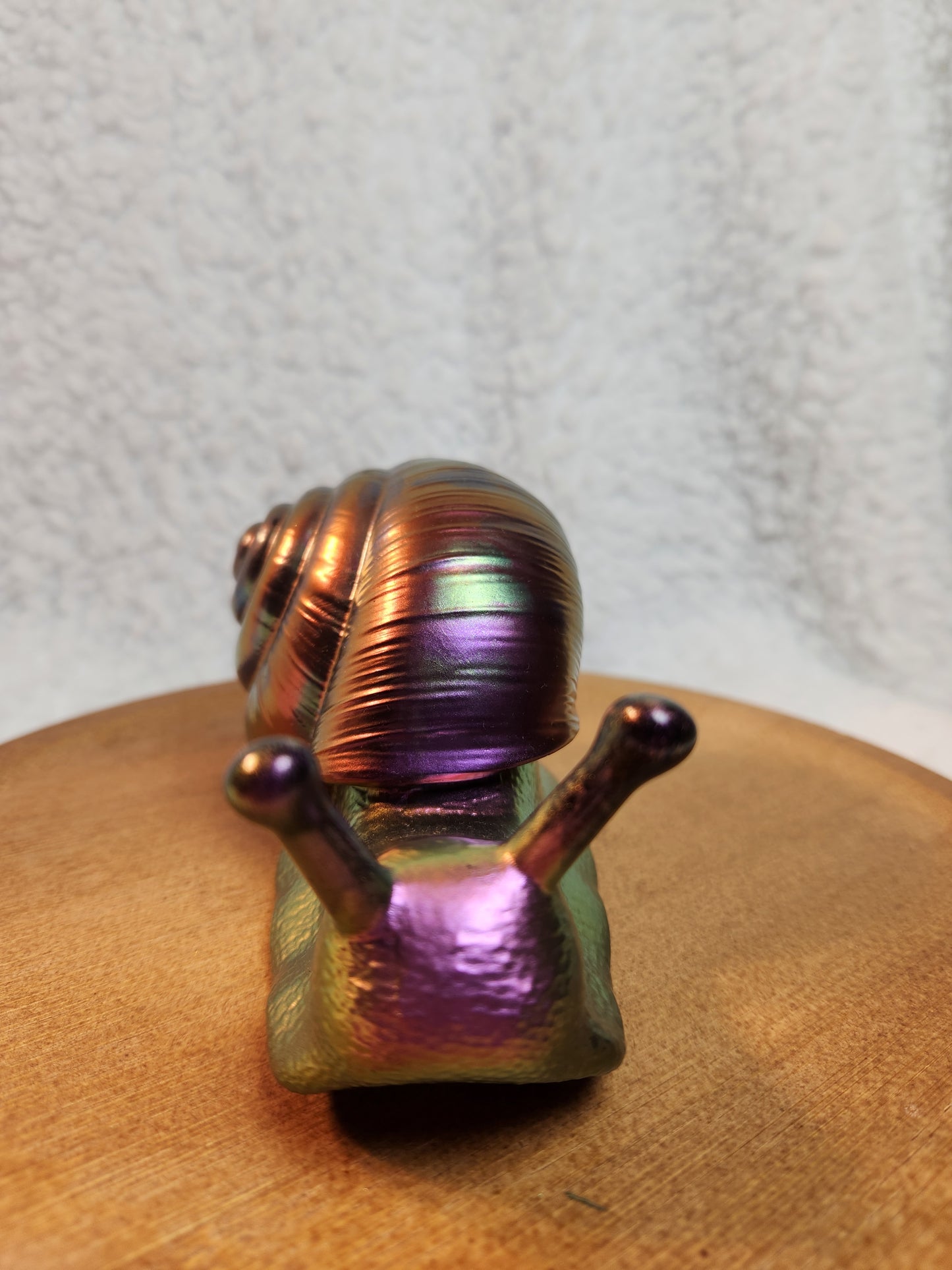 Snail 6