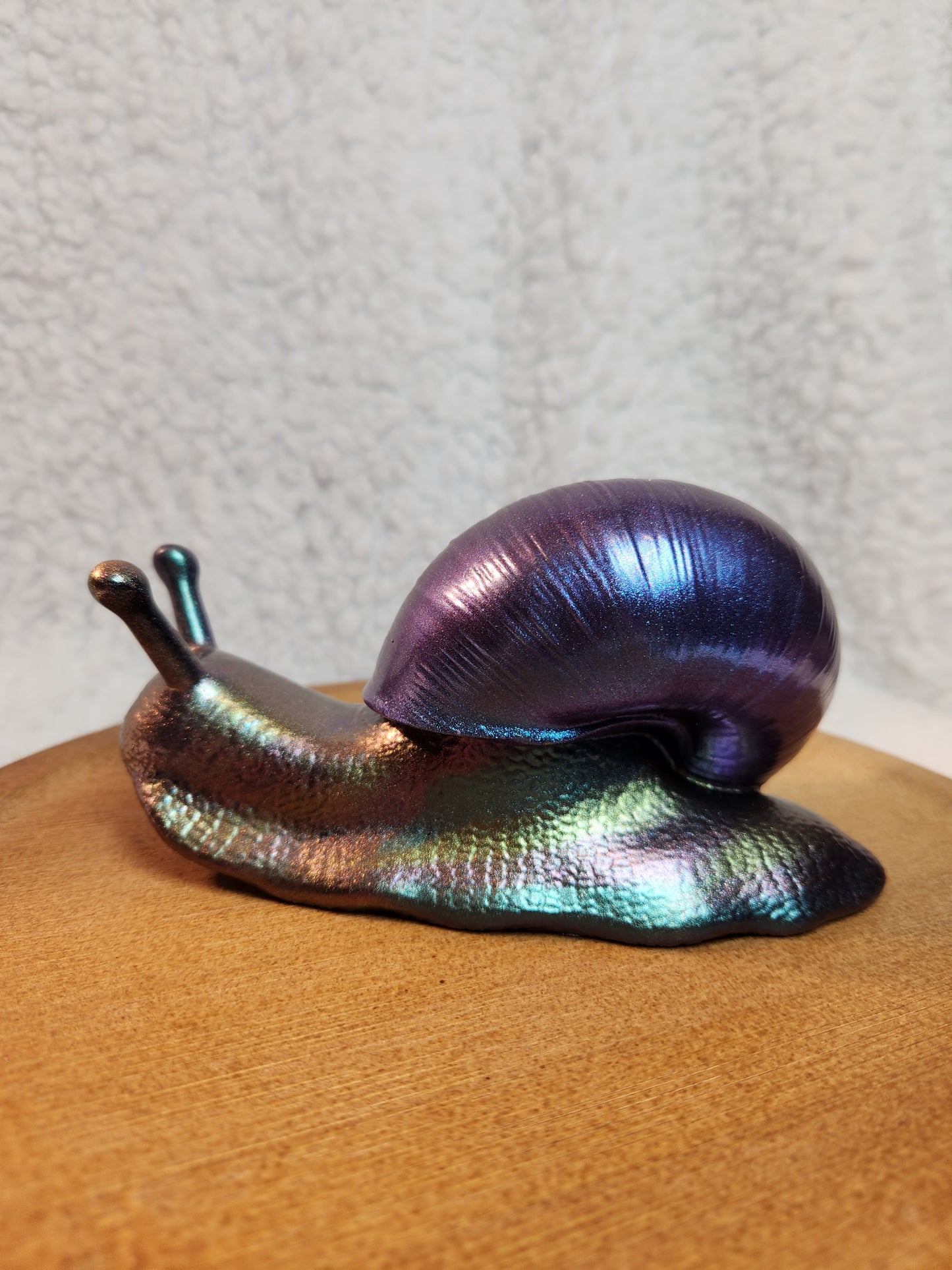 Snail 1