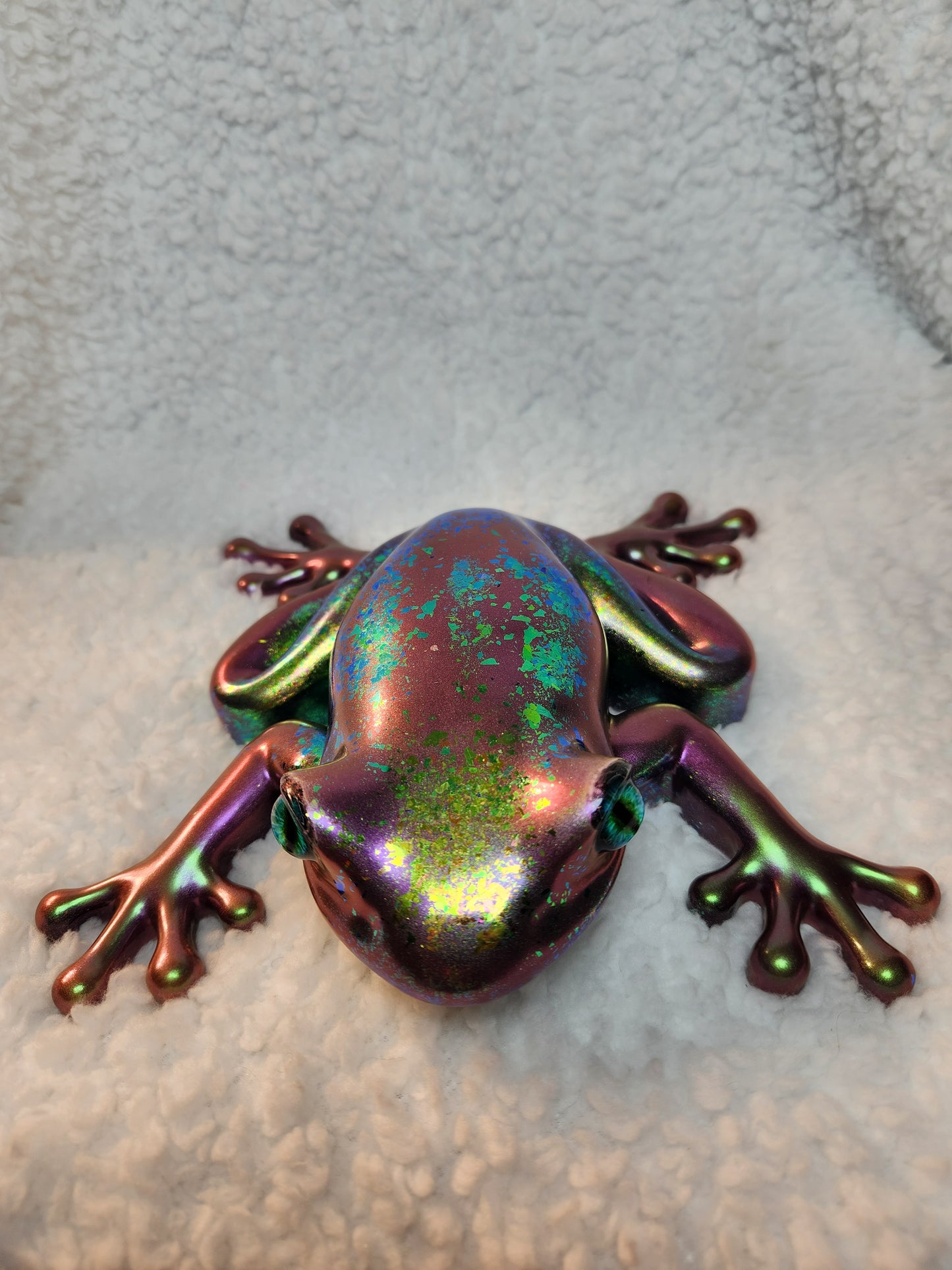 Large Chameleon Frog
