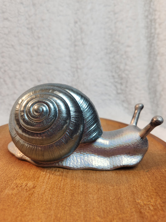 Snail 4