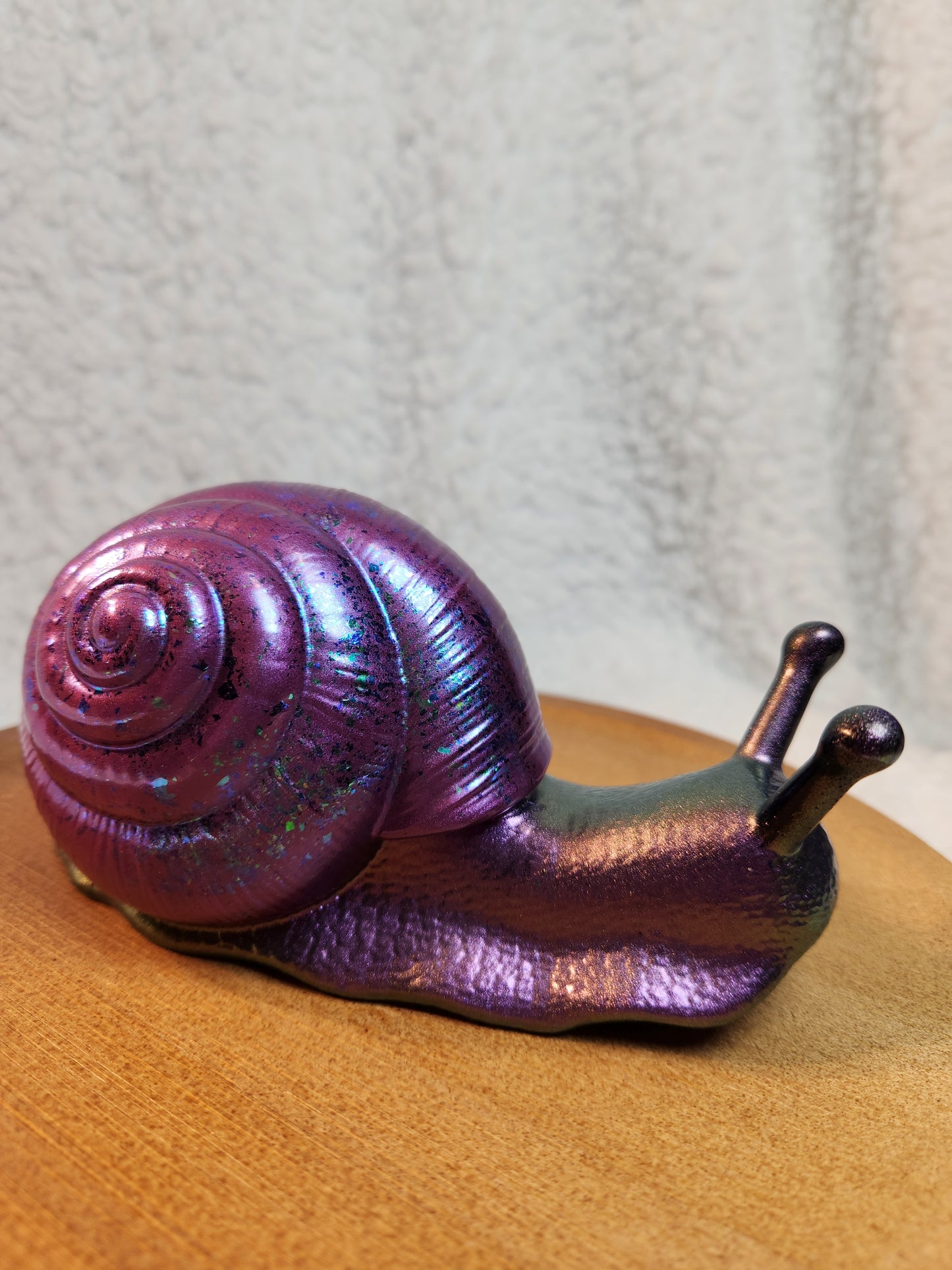 Snail 5