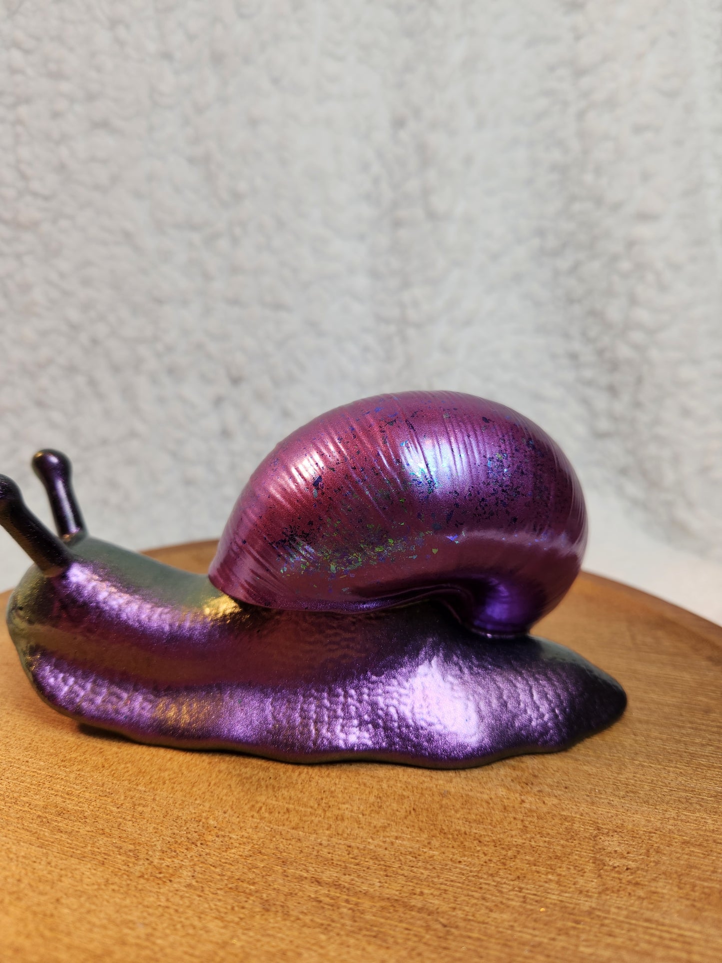 Snail 5