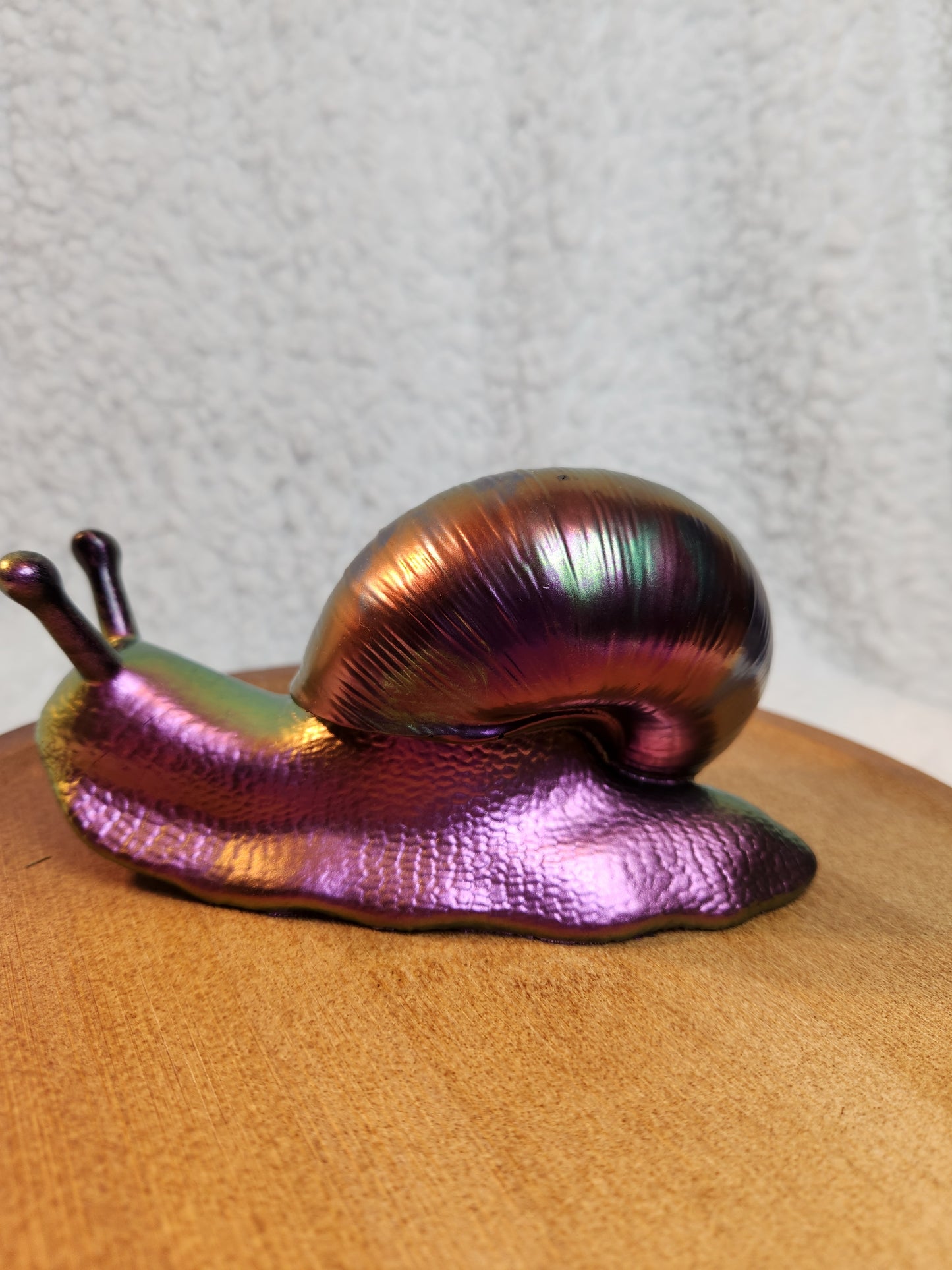 Snail 6