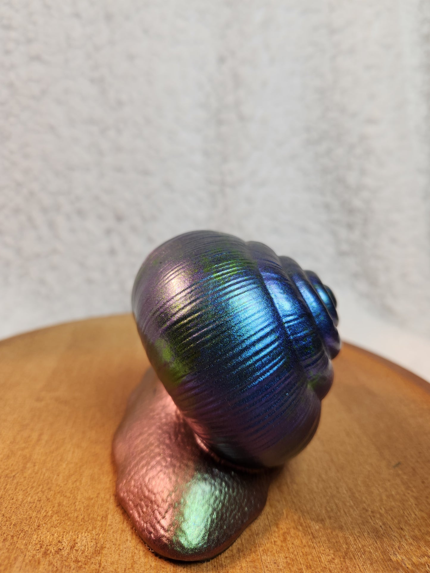 Snail 3