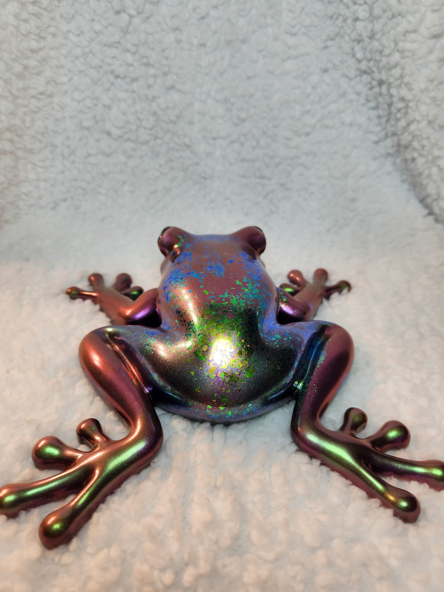 Large Chameleon Frog