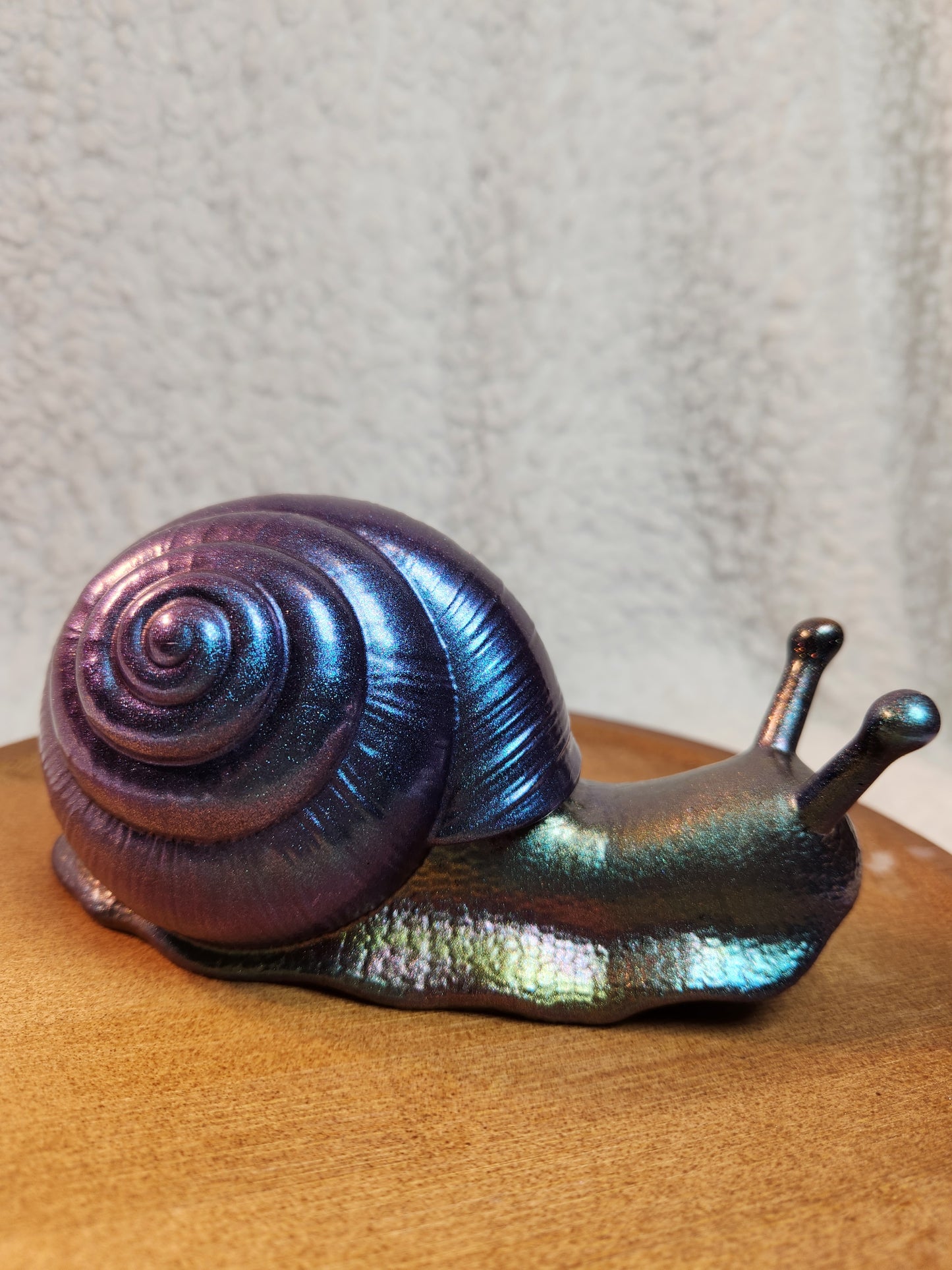 Snail 1