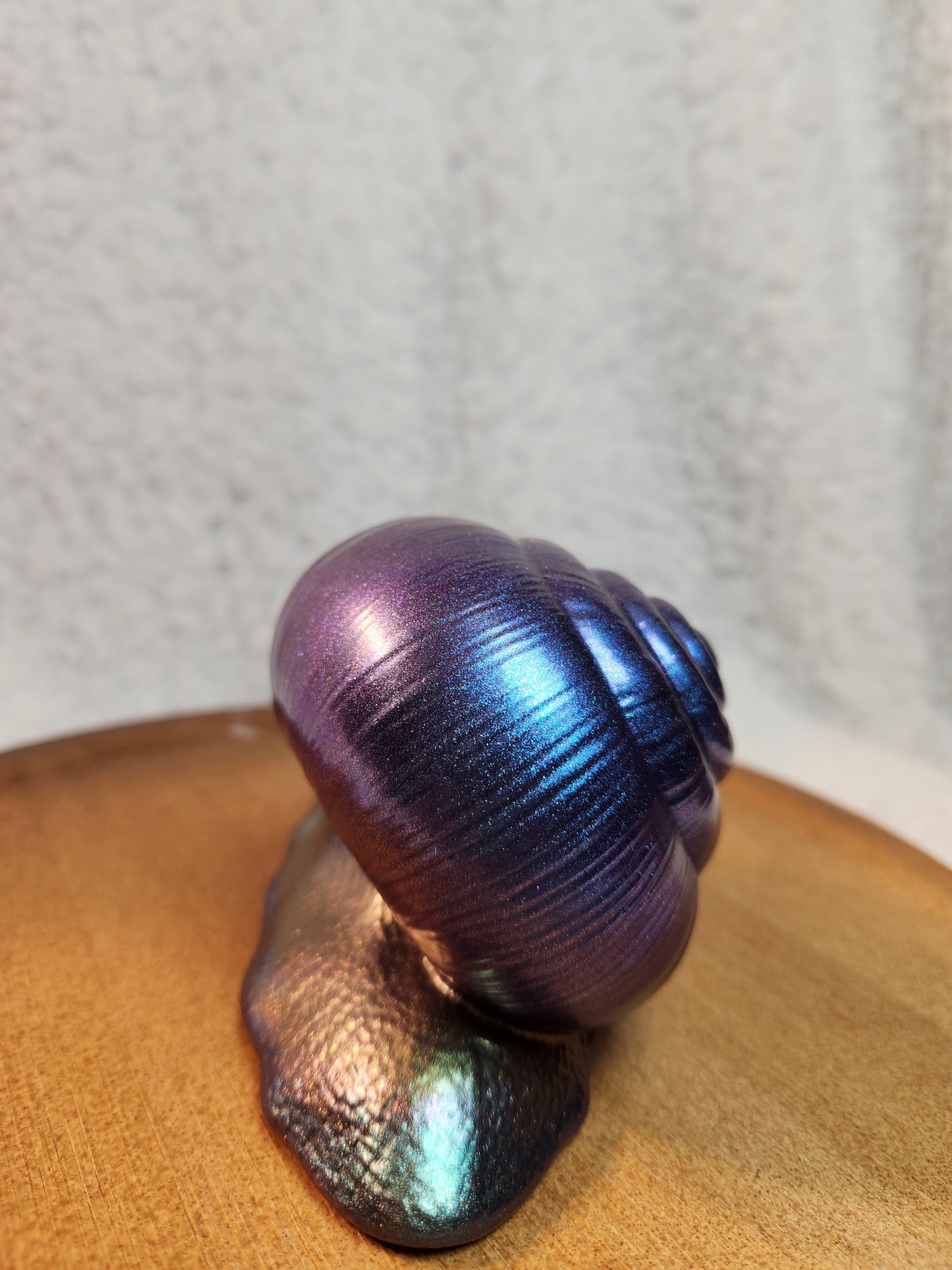 Snail 1