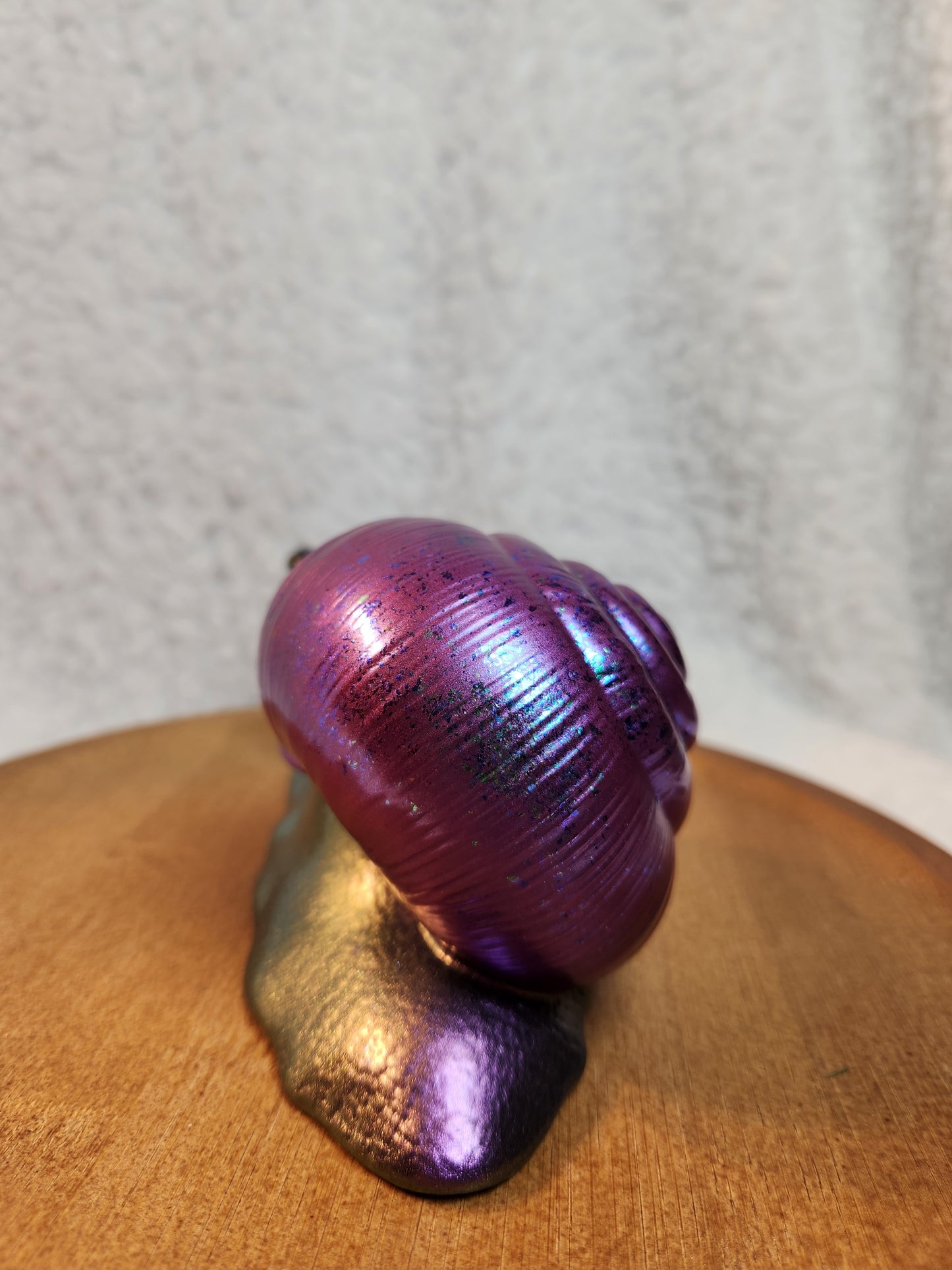 Snail 5