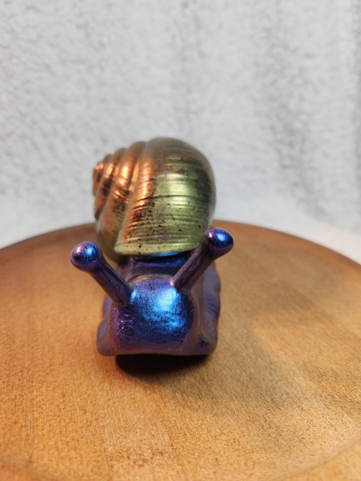Snail 7