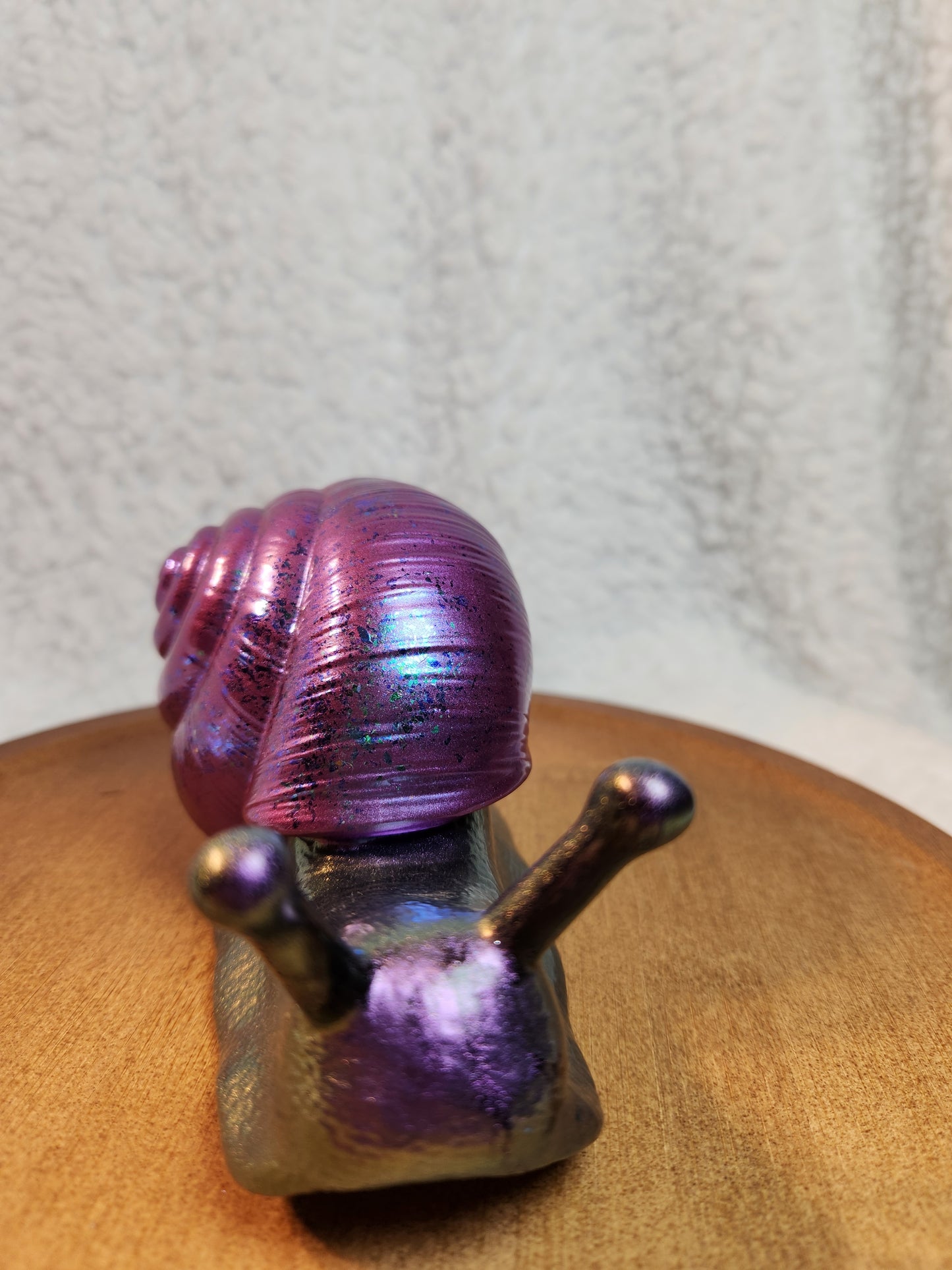 Snail 5