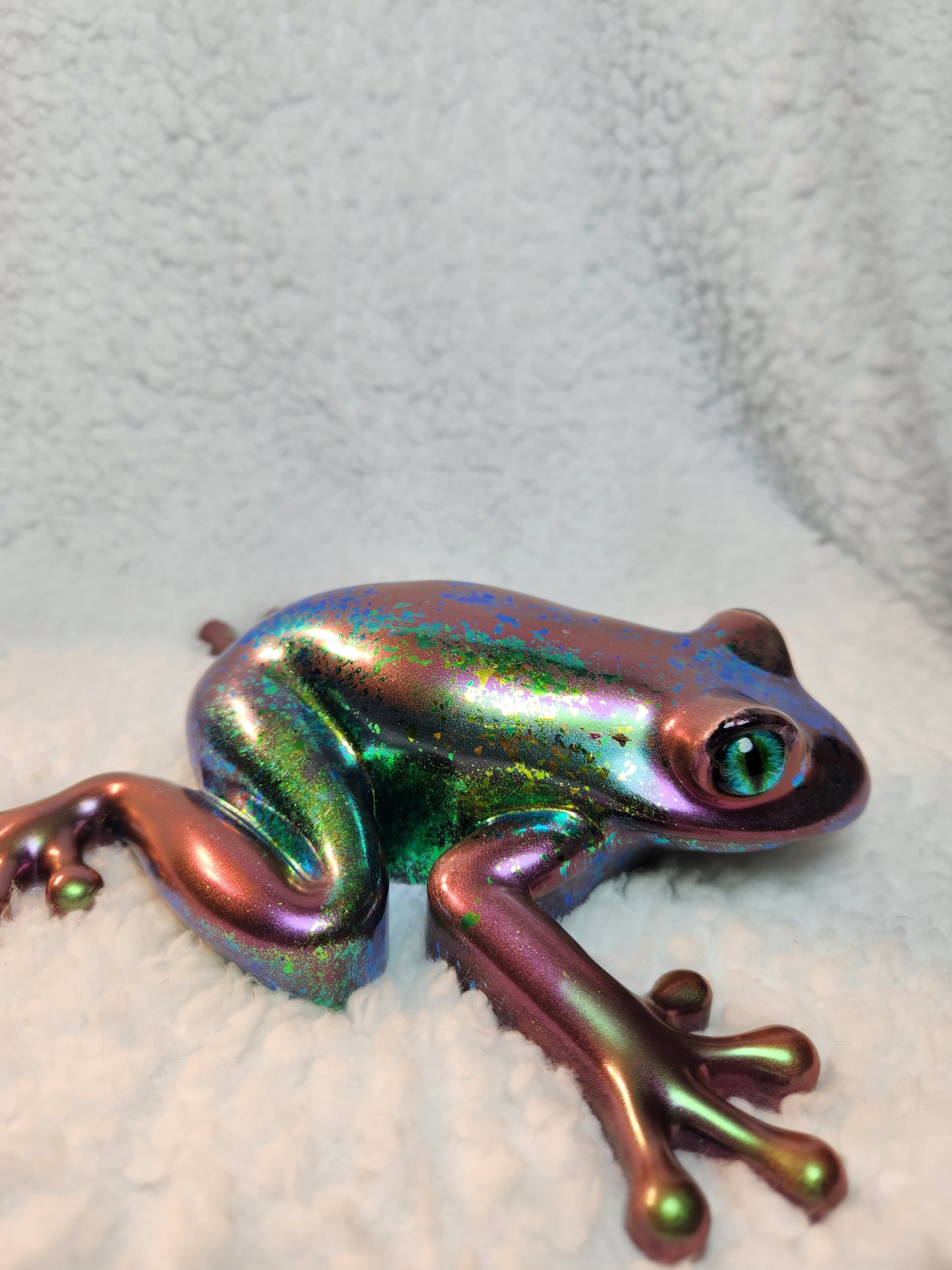 Large Chameleon Frog